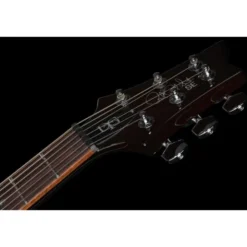 PRS SE DGT Standard Moons MTS