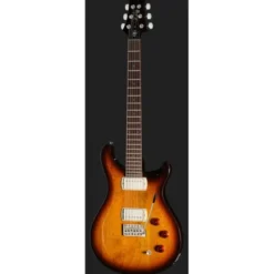 PRS SE DGT Standard Moons MTS