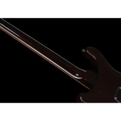 PRS SE DGT Standard Moons MTS