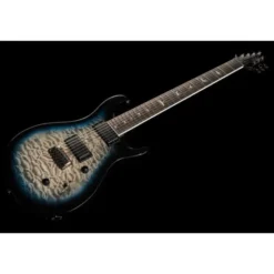 PRS SE Mark Holcomb SVN HL