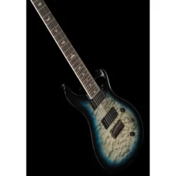 PRS SE Mark Holcomb SVN HL