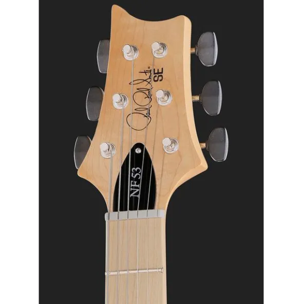 PRS SE NF 53 Black Doghair