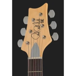 PRS SE Silver Sky Dandy Lion