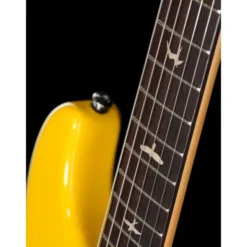 PRS SE Silver Sky Dandy Lion