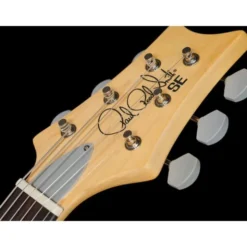 PRS SE Silver Sky Dandy Lion