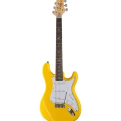 PRS SE Silver Sky Dandy Lion