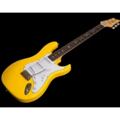 PRS SE Silver Sky Dandy Lion