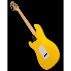 PRS SE Silver Sky Dandy Lion