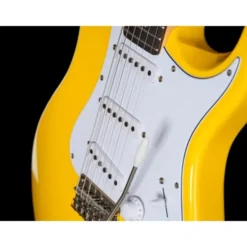 PRS SE Silver Sky Dandy Lion