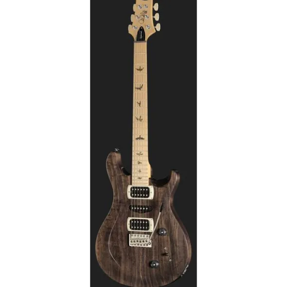PRS SE Swamp Ash Special CH