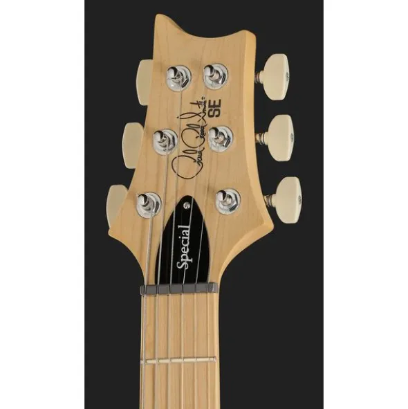 PRS SE Swamp Ash Special CH