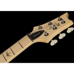 PRS SE Swamp Ash Special CH