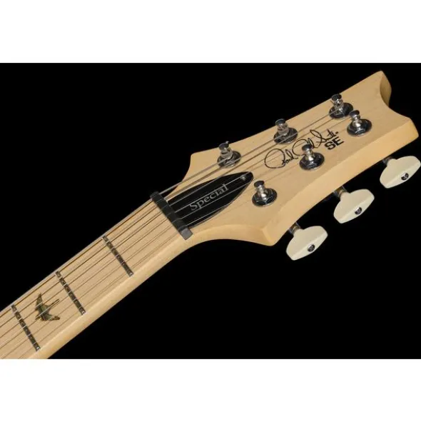 PRS SE Swamp Ash Special CH