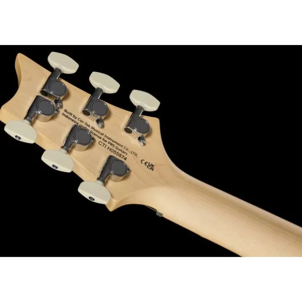 PRS SE Swamp Ash Special CH