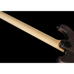 PRS SE Swamp Ash Special CH