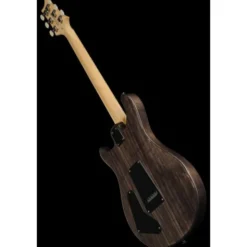 PRS SE Swamp Ash Special CH