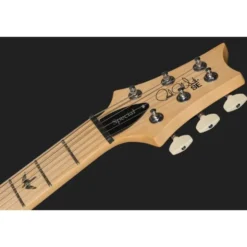PRS SE Swamp Ash Special IB