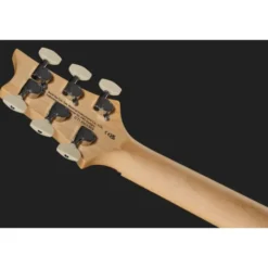PRS SE Swamp Ash Special IB