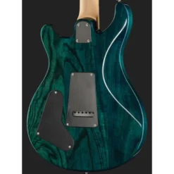 PRS SE Swamp Ash Special IB