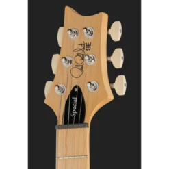 PRS SE Swamp Ash Special IB