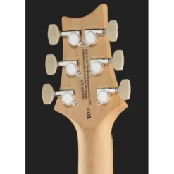 PRS SE Swamp Ash Special IB