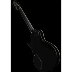 PRS SE Zach Myers EB