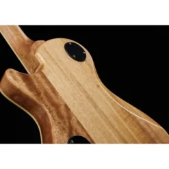 PRS SE Zach Myers MB