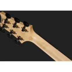PRS Wood Library S2 Vela LTD N