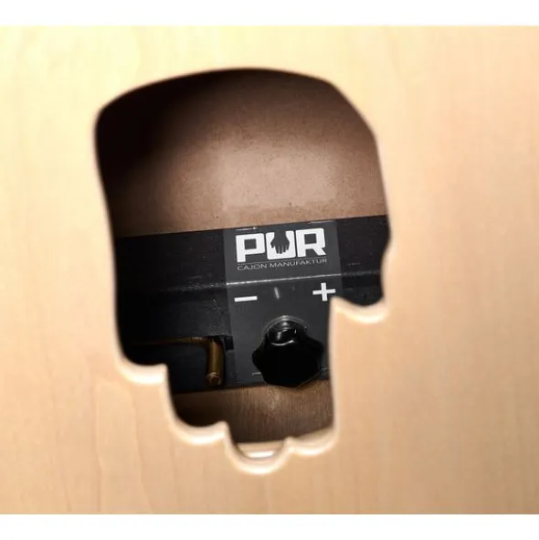 PUR Vision Pro Oak
