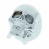 Q-Parts Custom Potiknob JumboSkull 2C