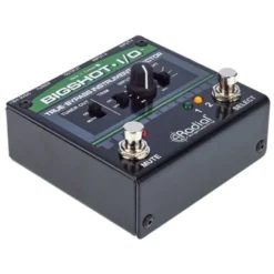 Radial Engineering Bigshot I/O