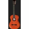 Ramirez Estudio Flamenco