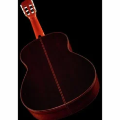 Ramirez Estudio Flamenco Palosanto