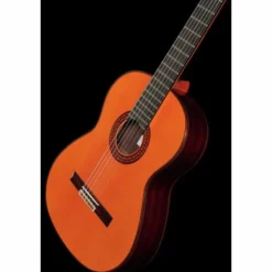 Ramirez Estudio Flamenco Palosanto