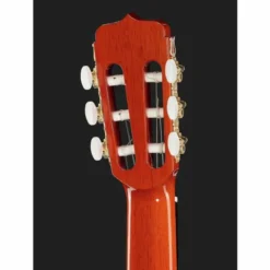 Ramirez Estudio Flamenco Palosanto