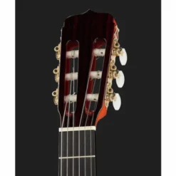 Ramirez Estudio Flamenco Palosanto