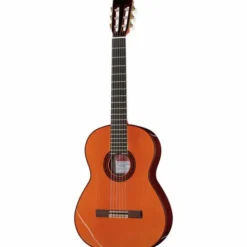 Ramirez Estudio Flamenco Palosanto