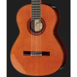 Ramirez Tradicional 1A w. case