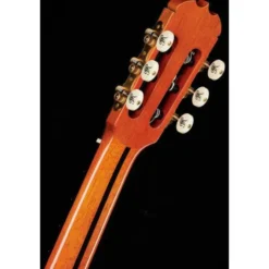 Ramirez Tradicional 1A w. case