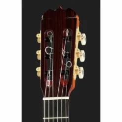 Ramirez Tradicional 1A w. case