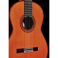 Ramirez Tradicional 1A w. case