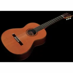 Ramirez Tradicional 1A w. case