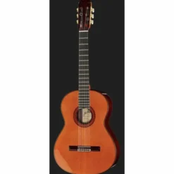 Ramirez Tradicional 1A w. case