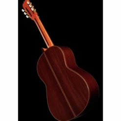 Ramirez Tradicional 1A w. case