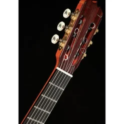 Ramirez Tradicional 1A w. case