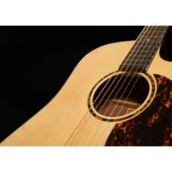 Recording King RD-G6-CFE5