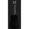 Recording King RDS-9-TS
