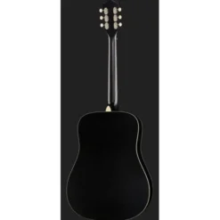 Recording King RDS-9-TS