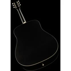 Recording King RDS-9-TS