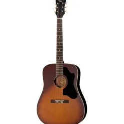 Recording King RDS-9-TS